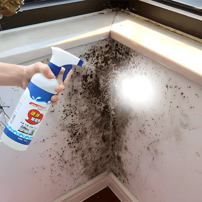 Sprej za uklanjanje buđi i plesni 500 ml